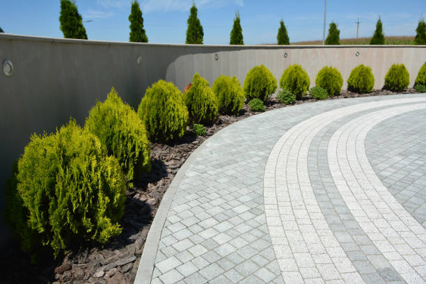 Best Driveway Paving Near Me  in Oak View, CA